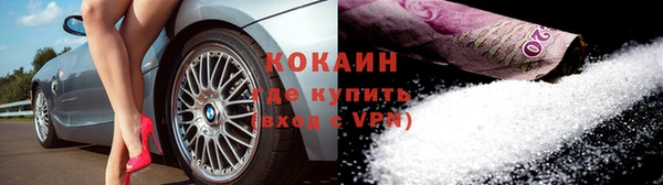 индика Касимов
