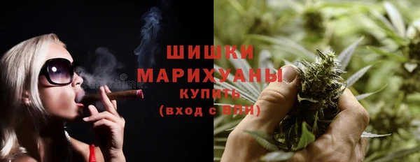 индика Касимов