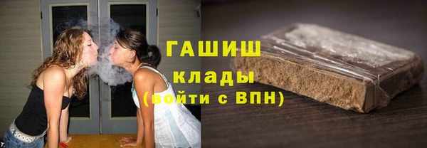 индика Касимов
