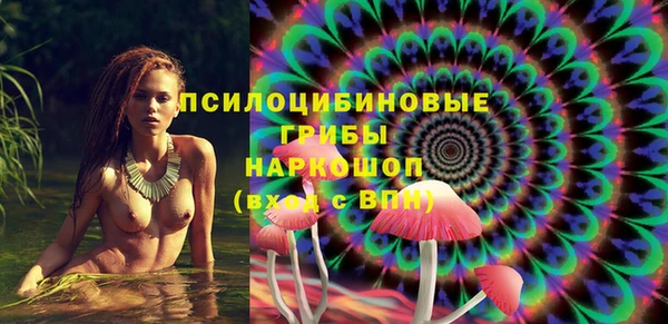 индика Касимов