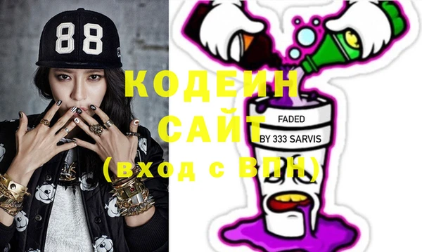 индика Касимов