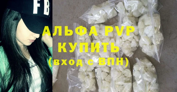 индика Касимов