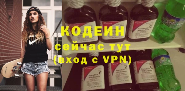 индика Касимов