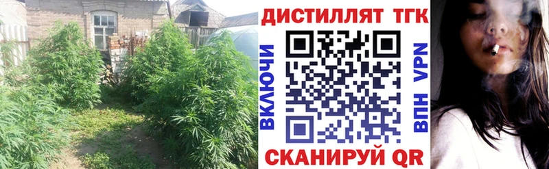 ТГК гашишное масло  Купить  Весьегонск 