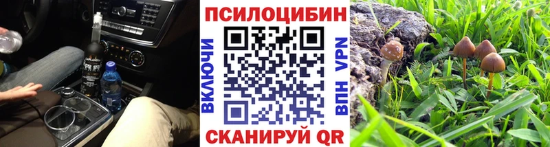 Купить Весьегонск Галлюциногенные грибы Psilocybine cubensis
